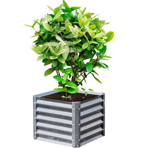 galvanized steel planters home depot